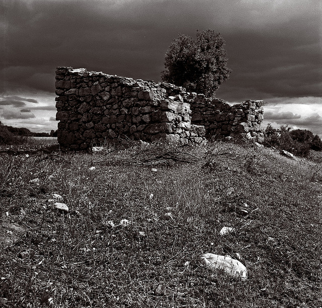 bw5